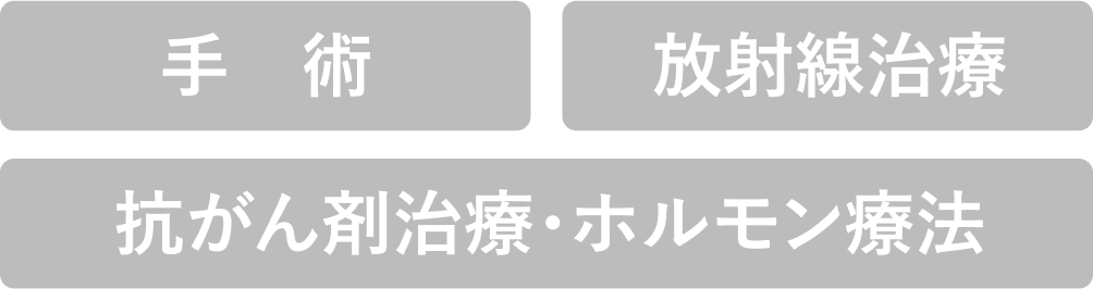 手術、放射線治療、抗がん剤治療・ホルモン療法